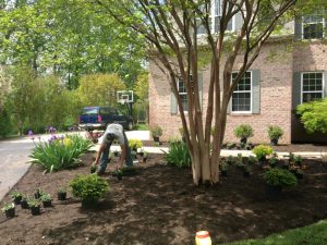 landscaping in front of house