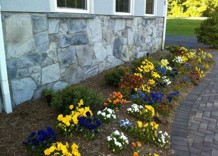 picture of flowers in front of house