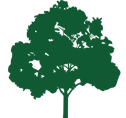 Green Tree Logo For Lawn Artists
