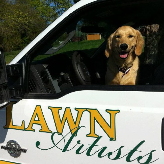 dog in lawn artist truck