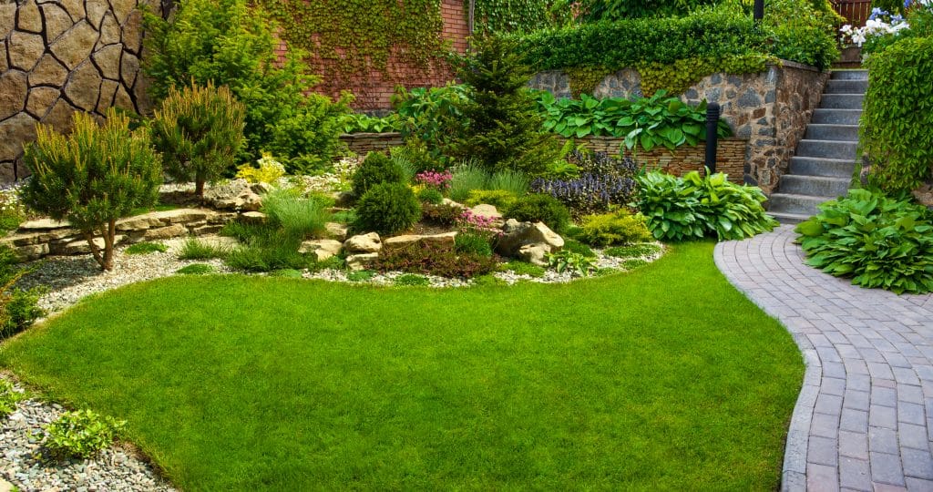 well landscaped yard