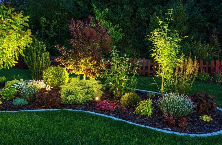 landscaped garden with lighting